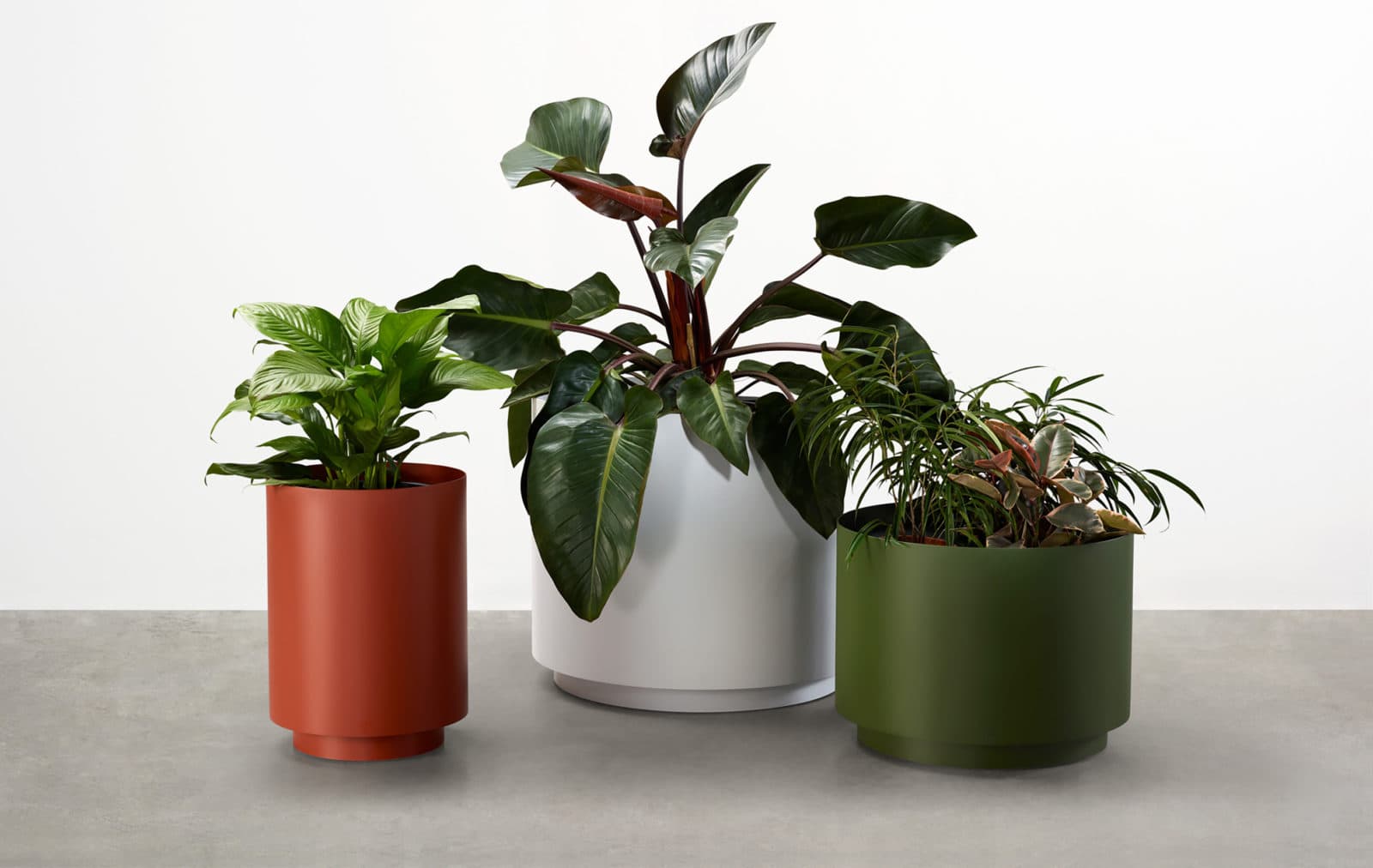 The smooth geometry of the Drum Planter defines this series of stylish contemporary indoor-outdoor planters at home or work, outdoors or in.