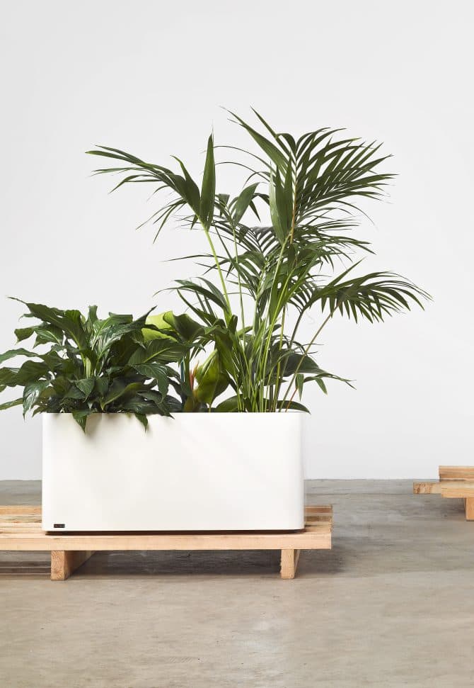 Softline Planters are delightfully contemporary outdoor metal planters ideal for bringing some green living to home or work, outdoors or in.