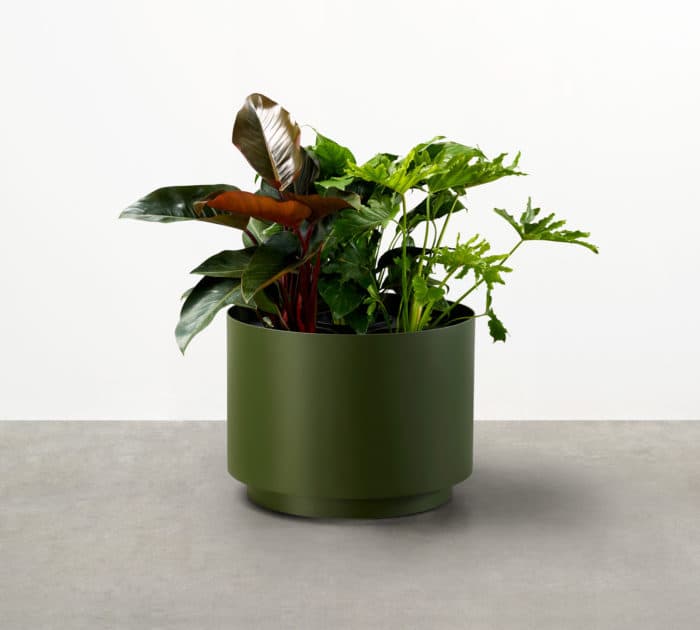 The smooth geometry of the Drum Planter defines this series of stylish contemporary indoor-outdoor planters at home or work, outdoors or in.