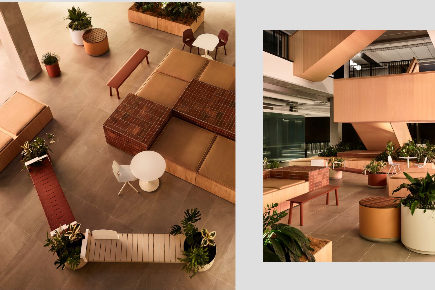 SEEK workplace by HASSELL featuring Xylem Planters, Seam Chair and Table by Tait