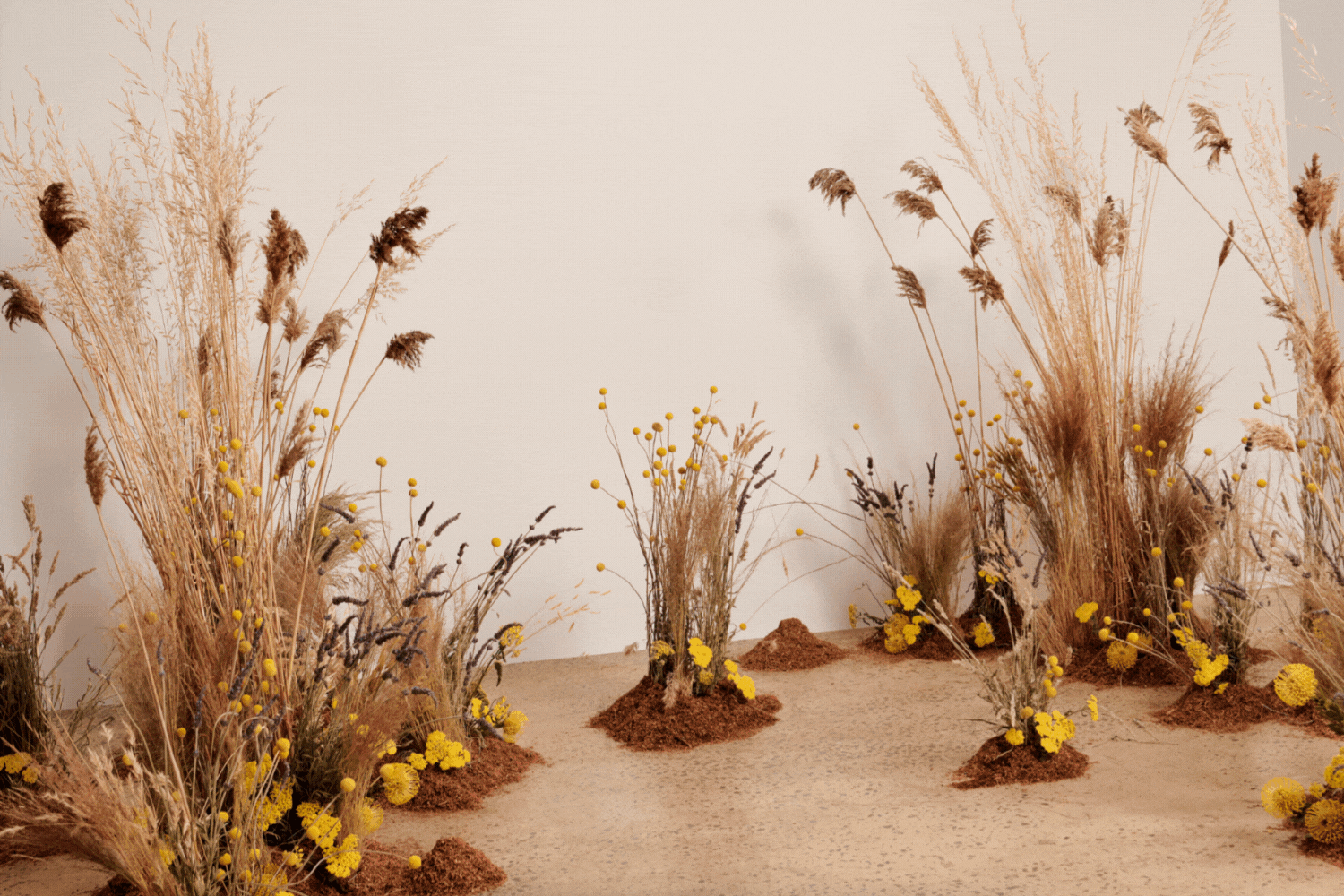 Botanical set design by Alchemy Orange for Kathmandu AFW22 'Return To Nature' campaign