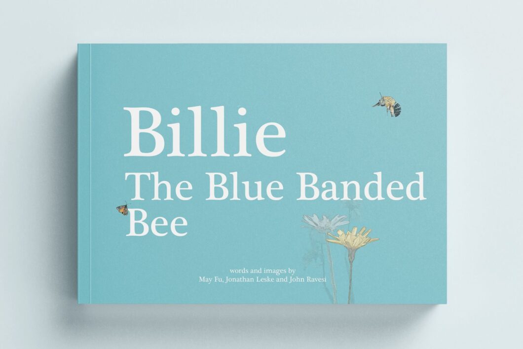 Cover of Billie the Blue Banded Bee children's book set in Victoria's grasslands