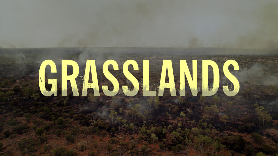 Opening title of Grasslands documentary film